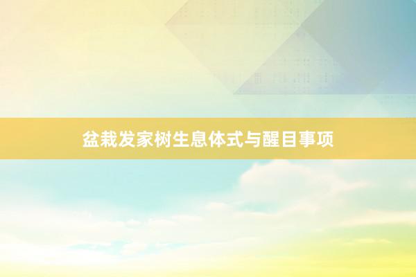 盆栽发家树生息体式与醒目事项