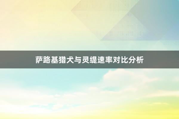 萨路基猎犬与灵缇速率对比分析